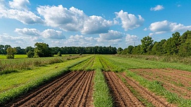 Оспаривание кадастровой стоимости земельных участков